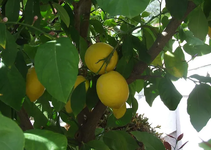 And Ana Pensionat 3*